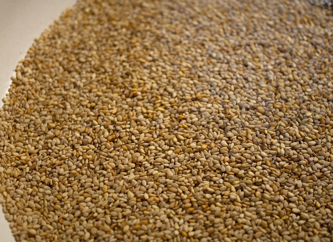 Oil Seeds